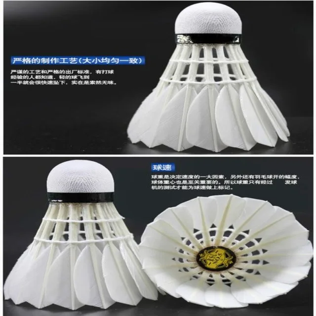 运动员复出最新动态:年轻化视角的独特观察